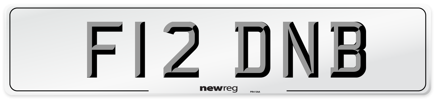 F12 DNB Number Plate from New Reg
